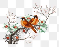 Birds png tree branch bird sticker, vintage animal illustration, transparent background