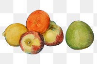 Png Cezanne&rsquo;s Apples sticker, still life painting, transparent background.  Remixed by rawpixel.