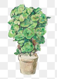 Png Cezanne’s Geraniums  sticker, still life painting, transparent background.  Remixed by rawpixel.