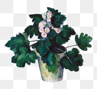 Png Cezanne’s Pot of Primroses sticker, still life painting, transparent background.  Remixed by rawpixel.