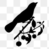 Bird on branch png sticker, silhouette transparent background