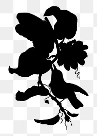 Bird & flowers png sticker, silhouette transparent background