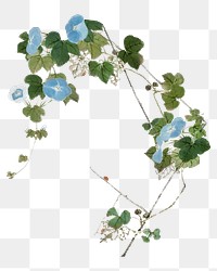 Blue Chinese flower png sticker, transparent background, botanical illustration by Ju Lian.  Remixed by rawpixel.