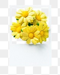 Yellow flower png sticker, transparent background