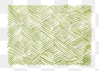 Png green colored pencil texture sticker, transparent background