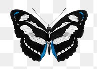 Aesthetic butterfly png sticker, transparent background