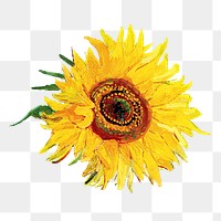 Van Gogh's sunflower  png sticker, transparent background. Remixed by rawpixel.