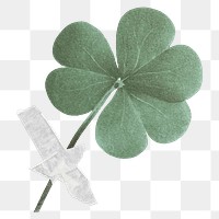 Clover leaf png sticker, transparent background