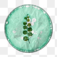 PNG Petri dish, paper craft element, transparent background