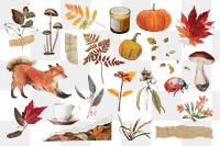 Aesthetic Autumn png sticker, seasonal collage element set, transparent background