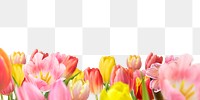 Spring flowers png border sticker, transparent background