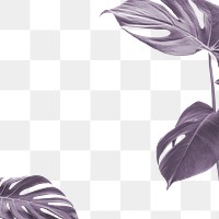 Metallic monstera leaf png border, transparent background