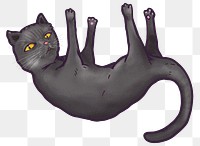 Black cat png sticker, transparent background