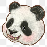 Panda bear png sticker, animal illustration on transparent background