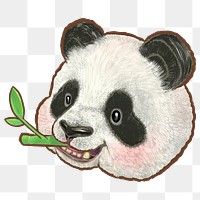 Panda eating bamboo png sticker, animal illustration on transparent background