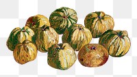 Van Gogh's png Still Life, Basket of Apples, famous painting sticker, transparent background, remixed by rawpixel