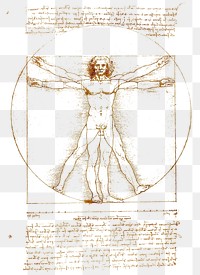 Leonardo da Vinci's png Vitruvian Man sticker on transparent background. Remastered by rawpixel.