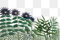Henri Rousseau's botanical png border, transparent background, remixed by rawpixel