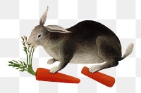 The Rabbit's Meal png sticker, Henri Rousseau's animal illustration, transparent background, remixed by rawpixel