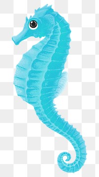 Turquoise seahorse png sticker, animal illustration, transparent background