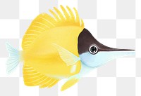 Cute fish png sticker, animal illustration, transparent background