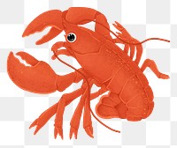 Red lobster png sticker, animal illustration, transparent background