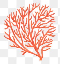 Orange coral png sticker, nature illustration, transparent background