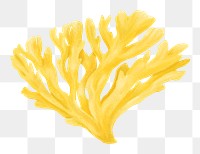 Yellow coral png sticker, nature illustration, transparent background