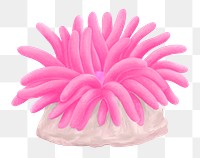 Pink coral png sticker, animal illustration, transparent background