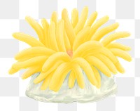 Yellow coral png sticker, animal illustration, transparent background