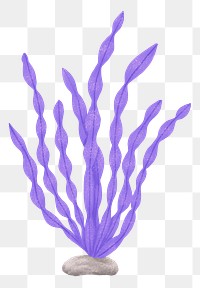 Purple ocean plant png sticker, nature illustration, transparent background