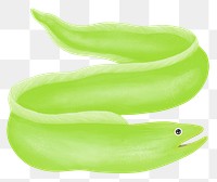 Green eel png sticker, animal illustration, transparent background