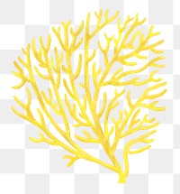 Yellow coral png sticker, nature illustration, transparent background