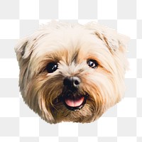 Yorkshire terrier png dog sticker, transparent background