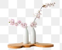 Png cherry blossom in vases sticker, transparent background