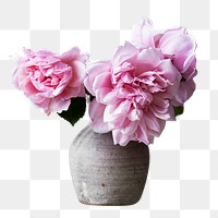 Pink roses png sticker, transparent background