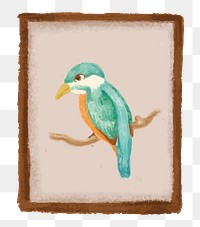 Framed bird photo png sticker, transparent background