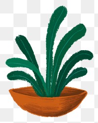 Aesthetic houseplant png sticker, transparent background