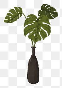 Aesthetic monstera vase png sticker, transparent background