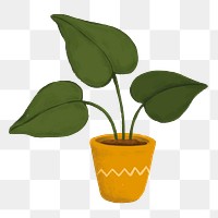 Aesthetic houseplant png sticker, transparent background