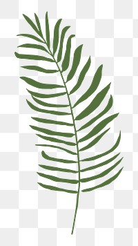 Palm leaf branch png sticker, transparent background