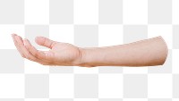 Presenting hand png sticker isolated image, transparent background