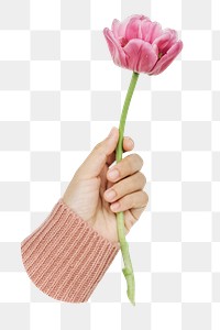 Hand holding flower png sticker, transparent background