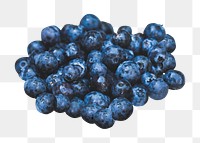 Png blueberry, transparent background