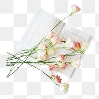 White flower png collage element, transparent background