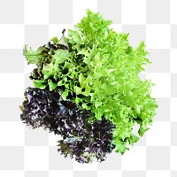 Green vegetable png collage element on transparent background