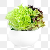 Green vegetable png collage element on transparent background