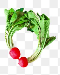 Turnip png collage element on transparent background