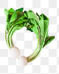 Turnip png collage element on transparent background