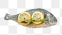 Sea bream png, healthy food, transparent background